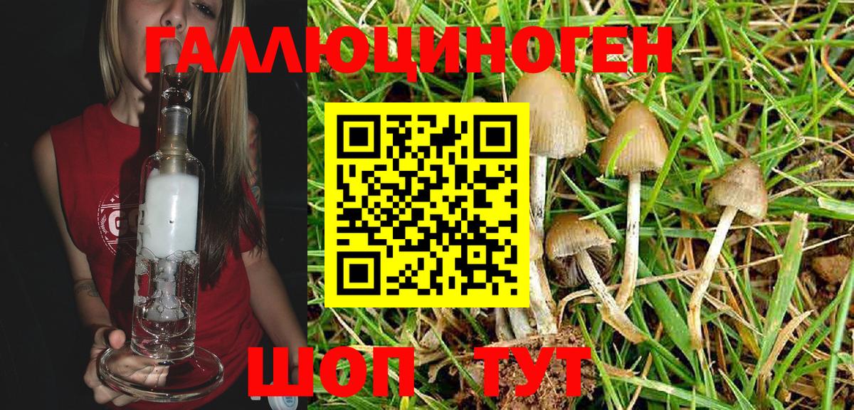 Галлюциногенные грибы Cubensis  Анжеро-Судженск 