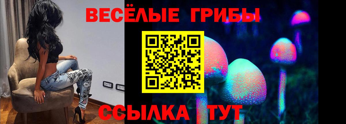 Галлюциногенные грибы прущие грибы Анжеро-Судженск